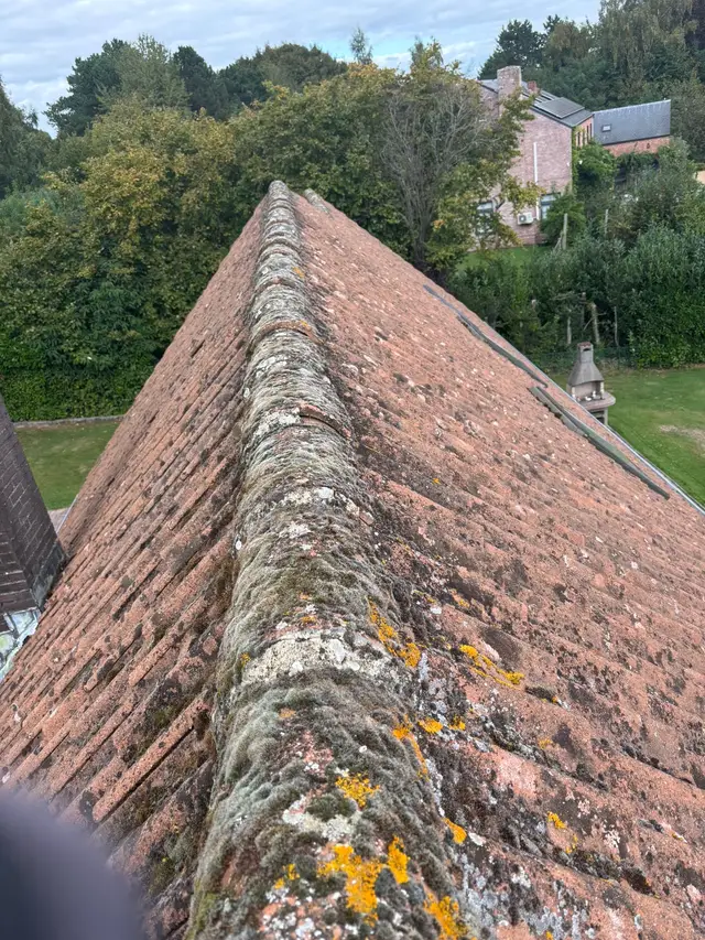 Démoussage de toiture